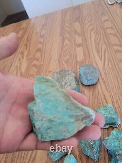 Blue Coyote Native American Indian Stone Effigy Rock Art, Artifacts, Tools