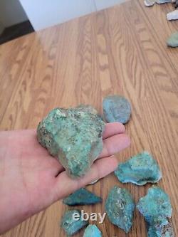 Blue Coyote Native American Indian Stone Effigy Rock Art, Artifacts, Tools