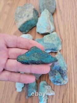 Blue Coyote Native American Indian Stone Effigy Rock Art, Artifacts, Tools