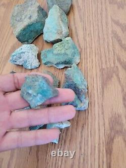 Blue Coyote Native American Indian Stone Effigy Rock Art, Artifacts, Tools