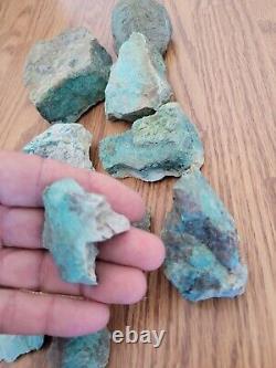 Blue Coyote Native American Indian Stone Effigy Rock Art, Artifacts, Tools