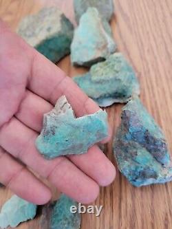 Blue Coyote Native American Indian Stone Effigy Rock Art, Artifacts, Tools