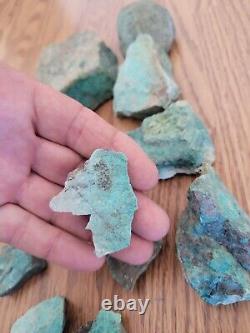 Blue Coyote Native American Indian Stone Effigy Rock Art, Artifacts, Tools