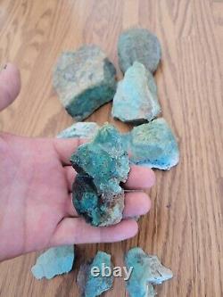 Blue Coyote Native American Indian Stone Effigy Rock Art, Artifacts, Tools