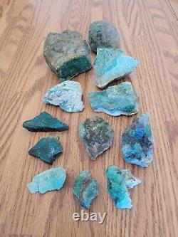 Blue Coyote Native American Indian Stone Effigy Rock Art, Artifacts, Tools