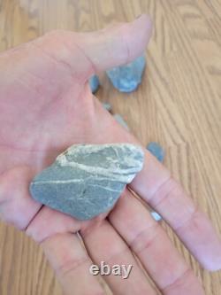 Blue/Gray Deer Head Native American Stone Effigy Rock Art, Artifacts, Tools