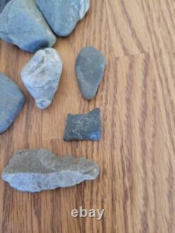 Blue/Gray Deer Head Native American Stone Effigy Rock Art, Artifacts, Tools