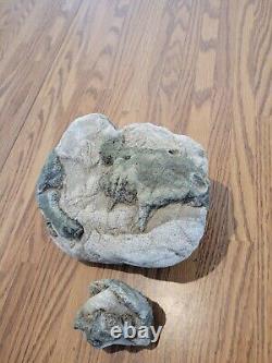 Blue Triggerfish, Native American Indian Stone Effigy RockArt, Artifacts, Tools