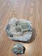 Blue Triggerfish, Native American Indian Stone Effigy Rockart, Artifacts, Tools