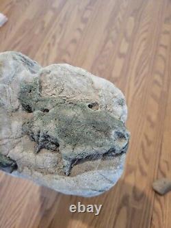 Blue Triggerfish, Native American Indian Stone Effigy RockArt, Artifacts, Tools