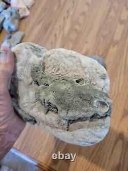 Blue Triggerfish, Native American Indian Stone Effigy RockArt, Artifacts, Tools