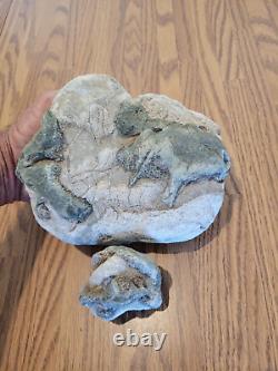 Blue Triggerfish, Native American Indian Stone Effigy RockArt, Artifacts, Tools