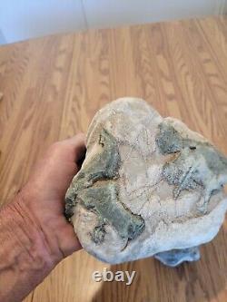 Blue Triggerfish, Native American Indian Stone Effigy RockArt, Artifacts, Tools