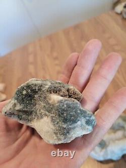 Blue Triggerfish, Native American Indian Stone Effigy RockArt, Artifacts, Tools