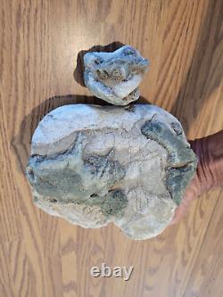 Blue Triggerfish, Native American Indian Stone Effigy RockArt, Artifacts, Tools