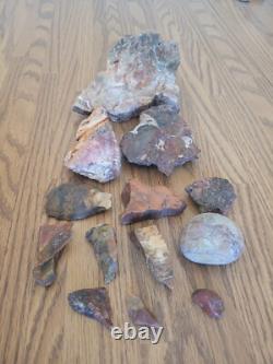 Bobcat / Snake+ Native American Indian Stone Effigy Rock Art, Artifacts, Tools