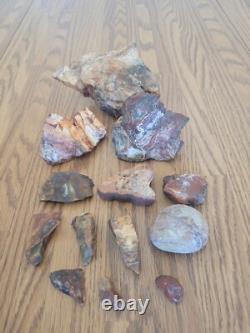 Bobcat / Snake+ Native American Indian Stone Effigy Rock Art, Artifacts, Tools