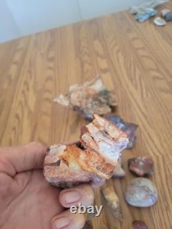 Bobcat / Snake+ Native American Indian Stone Effigy Rock Art, Artifacts, Tools Bobcat / Snake+ Native American Indian Stone Effigy Rock Art, Artifacts, Tools