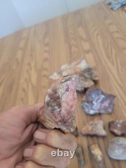 Bobcat / Snake+ Native American Indian Stone Effigy Rock Art, Artifacts, Tools