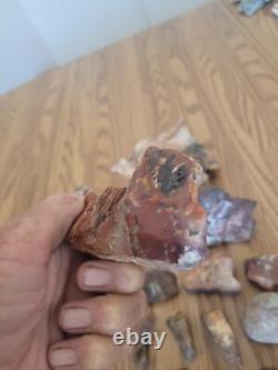 Bobcat / Snake+ Native American Indian Stone Effigy Rock Art, Artifacts, Tools Bobcat / Snake+ Native American Indian Stone Effigy Rock Art, Artifacts, Tools