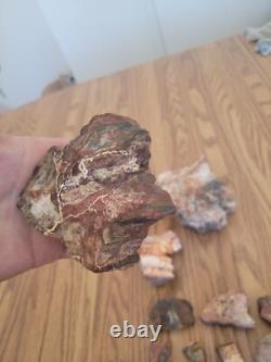 Bobcat / Snake+ Native American Indian Stone Effigy Rock Art, Artifacts, Tools