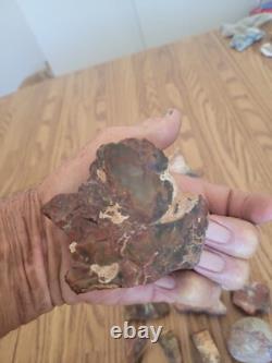 Bobcat / Snake+ Native American Indian Stone Effigy Rock Art, Artifacts, Tools