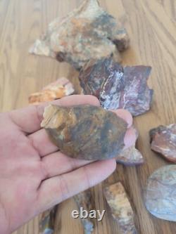 Bobcat / Snake+ Native American Indian Stone Effigy Rock Art, Artifacts, Tools