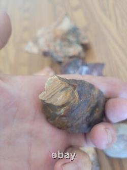 Bobcat / Snake+ Native American Indian Stone Effigy Rock Art, Artifacts, Tools