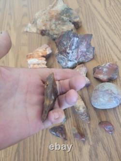 Bobcat / Snake+ Native American Indian Stone Effigy Rock Art, Artifacts, Tools