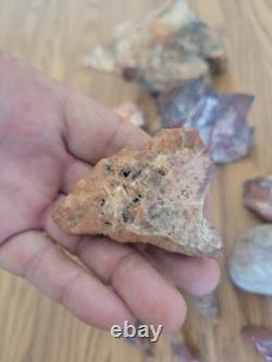 Bobcat / Snake+ Native American Indian Stone Effigy Rock Art, Artifacts, Tools