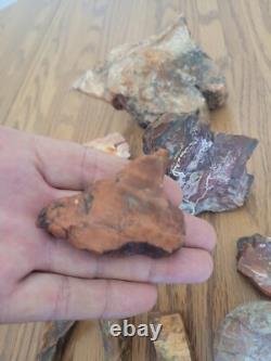 Bobcat / Snake+ Native American Indian Stone Effigy Rock Art, Artifacts, Tools