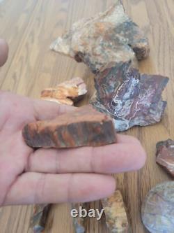 Bobcat / Snake+ Native American Indian Stone Effigy Rock Art, Artifacts, Tools