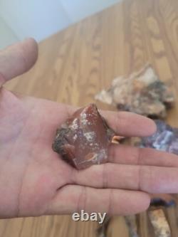 Bobcat / Snake+ Native American Indian Stone Effigy Rock Art, Artifacts, Tools