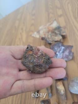 Bobcat / Snake+ Native American Indian Stone Effigy Rock Art, Artifacts, Tools