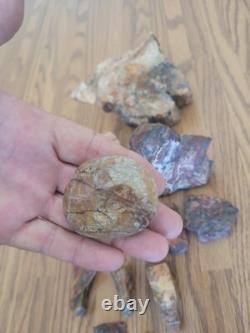 Bobcat / Snake+ Native American Indian Stone Effigy Rock Art, Artifacts, Tools