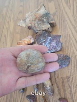 Bobcat / Snake+ Native American Indian Stone Effigy Rock Art, Artifacts, Tools