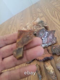 Bobcat / Snake+ Native American Indian Stone Effigy Rock Art, Artifacts, Tools