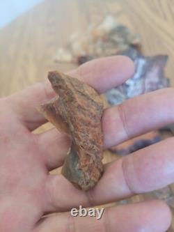 Bobcat / Snake+ Native American Indian Stone Effigy Rock Art, Artifacts, Tools