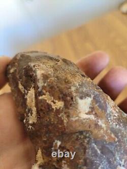 Chicken Like Petroglyph Axe Native American Stone Rock Art, Artifacts, Tools