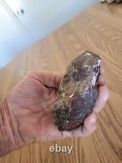 Chicken Like Petroglyph Axe Native American Stone Rock Art, Artifacts, Tools