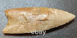 Clovis Arrowhead, C. O. A, Early Paleo, 13,200 12,000 B. P