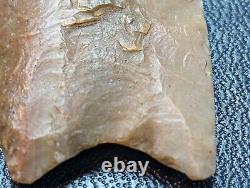 Clovis Arrowhead, C. O. A, Early Paleo, 13,200 12,000 B. P