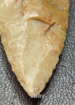 Clovis Arrowhead, C. O. A, Early Paleo, 13,200 12,000 B. P