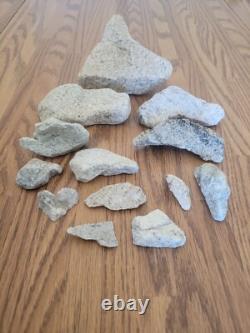 Coyote / Snake + Native American Indian Stone Effigy Rock Art, Artifacts, Tools