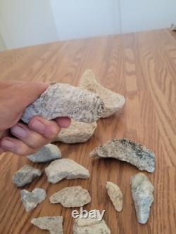 Coyote / Snake + Native American Indian Stone Effigy Rock Art, Artifacts, Tools
