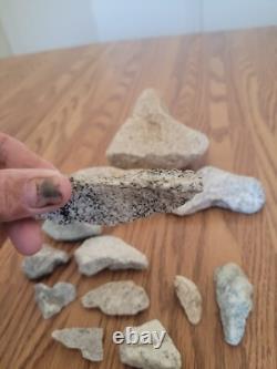 Coyote / Snake + Native American Indian Stone Effigy Rock Art, Artifacts, Tools