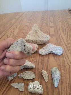 Coyote / Snake + Native American Indian Stone Effigy Rock Art, Artifacts, Tools