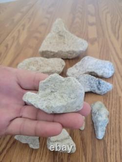 Coyote / Snake + Native American Indian Stone Effigy Rock Art, Artifacts, Tools