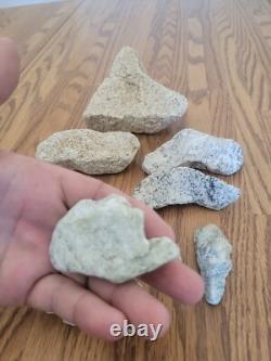Coyote / Snake + Native American Indian Stone Effigy Rock Art, Artifacts, Tools