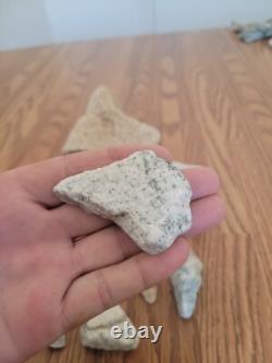 Coyote / Snake + Native American Indian Stone Effigy Rock Art, Artifacts, Tools